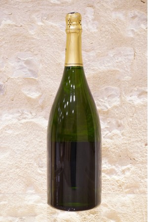 Ledru Marie-Noëlle Ambonnay Champagne Brut Grand Cru