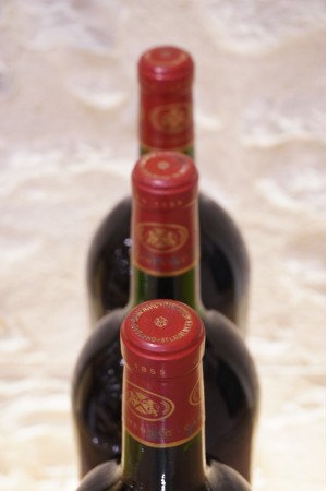 Château Camensac Haut-Médoc 5e Cru Classé 1989