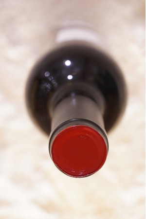 Clos I Terrasses "Clos Erasmus" Priorat 2009