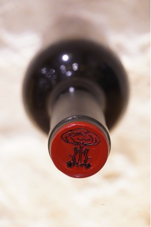 Clos I Terrasses "Clos Erasmus" Priorat 2006
