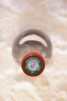 Domaine du Clos de Tart - Clos de Tart Grand Cru 2008