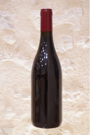 Domaine Georges Noëllat Nuits-Saint-Georges 1er Cru Aux Cras 2015