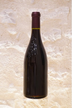 Prieuré de Saint Jean de Bébian Côteaux du Languedoc 1998