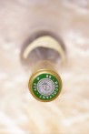 Zind-Humbrecht Riesling Rangen de Thann Clos Saint Urbain Grand Cru 2008
