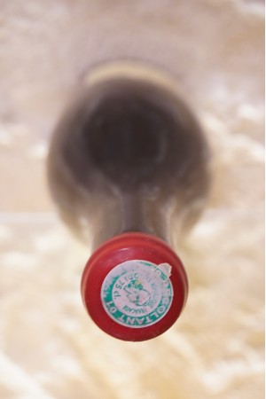 Ganevat Jean-François Côtes du Jura En Billat Pinot Noir 2015