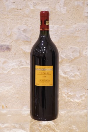 Château Ducru-Beaucaillou Saint-Julien 2e Cru Classé 2009 MAGNUM