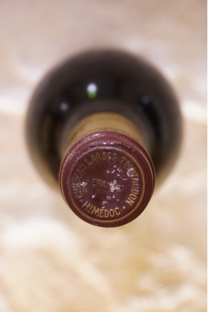 Château Larose Trintaudon Haut-Médoc 1989