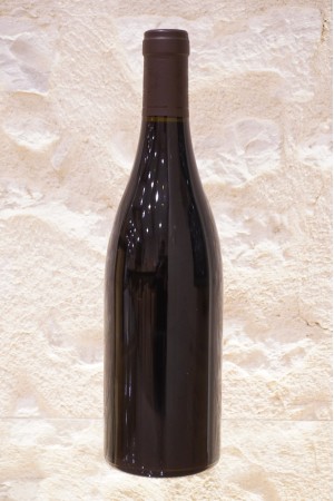Domaine Sylvie Esmonin Gevrey-Chambertin Vieilles Vignes 2009