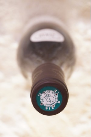 Domaine Sylvie Esmonin Gevrey-Chambertin 1er Cru Clos Saint-Jacques 2009
