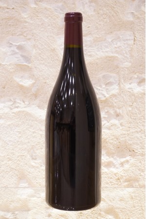 Domaine Sylvie Esmonin Gevrey-Chambertin 1er Cru Clos Saint-Jacques 2013